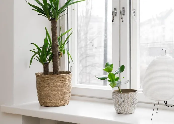 In Kamppi Huoneisto *